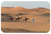 Wüste Marokko I Daily Adventure